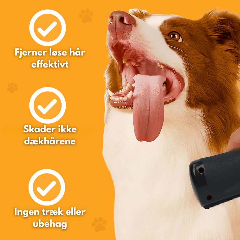 BrosseMagique™ – La solution ultime pour éliminer les poils d'animaux !
