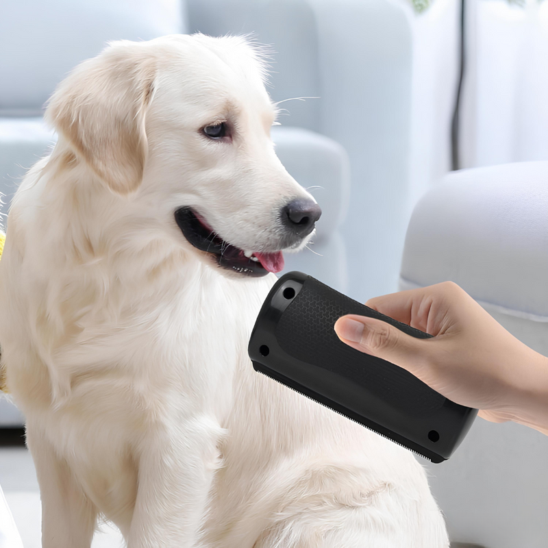 Brosse Expert-Mue™ – La solution ultime contre la perte de poils