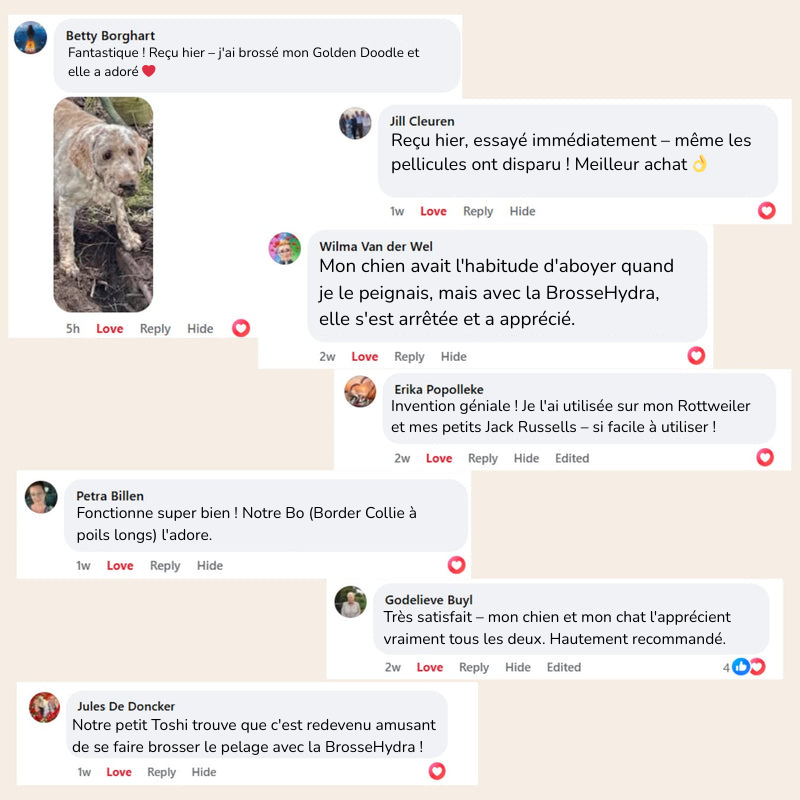 BrosseHydra™ – Hydrate, masse et élimine les poils sans douleur