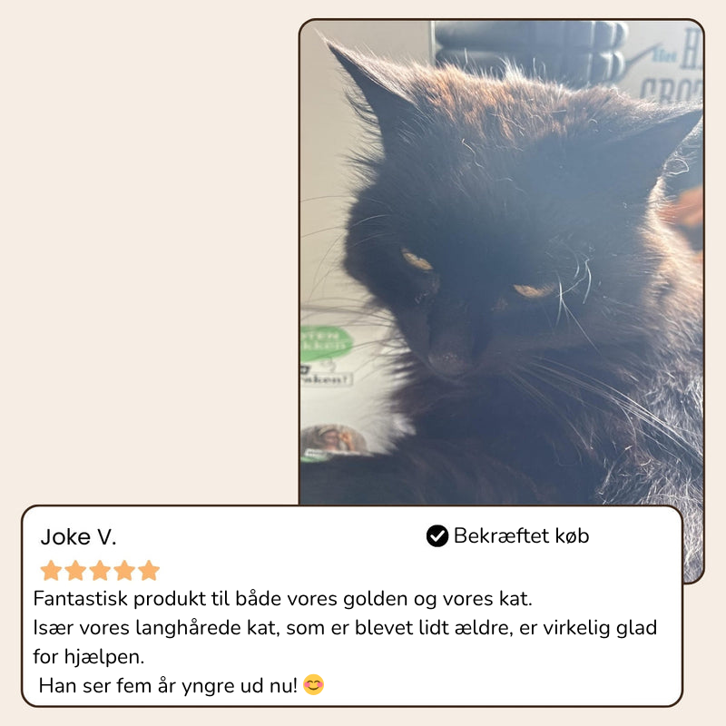 BrosseHydra™ – Hydrate, masse et élimine les poils sans douleur