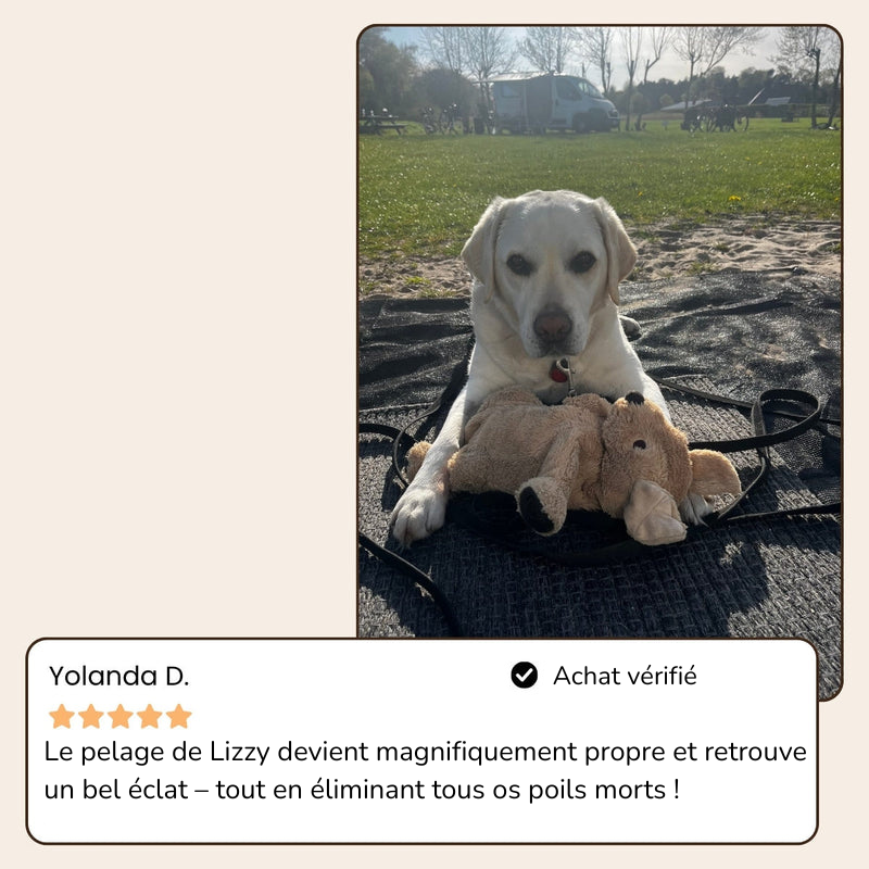 BrosseHydra™ – Hydrate, masse et élimine les poils sans douleur