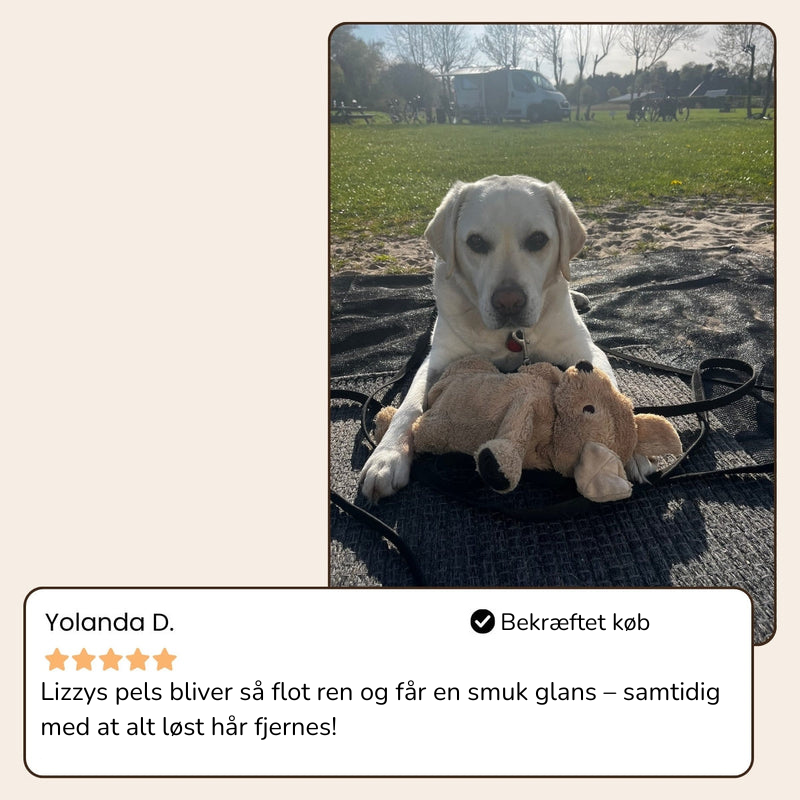 BrosseHydra™ – Hydrate, masse et élimine les poils sans douleur