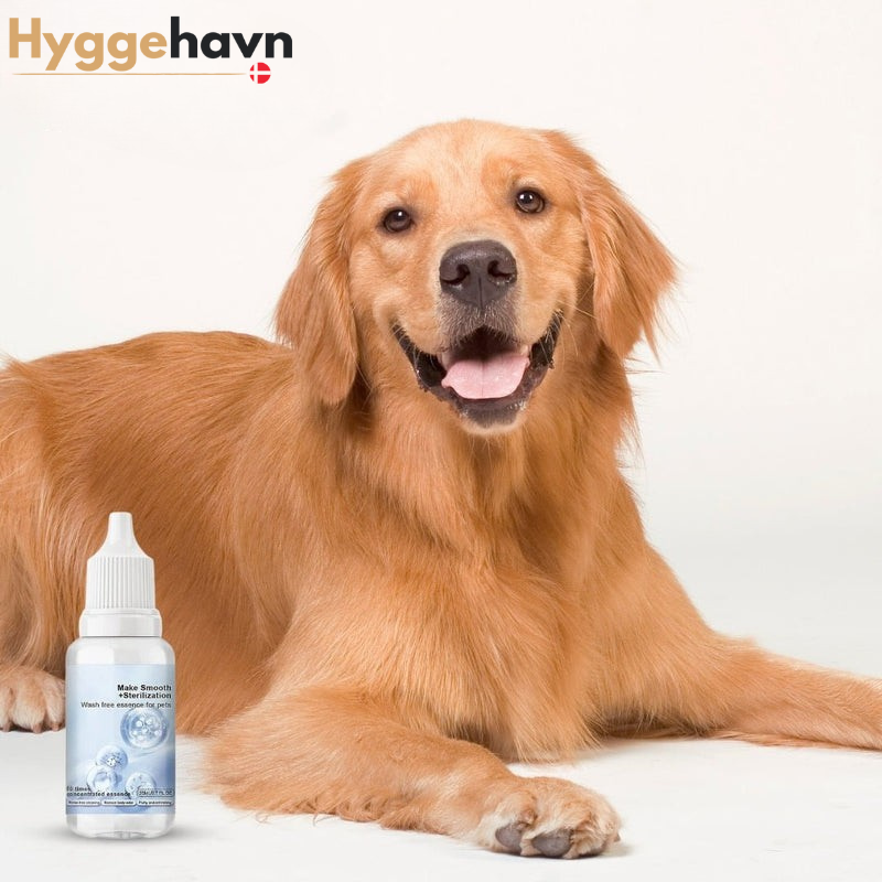 Shampooing Éclat Rafraîchissant pour le Pelage - Convient à Tous les Types de Fourrure