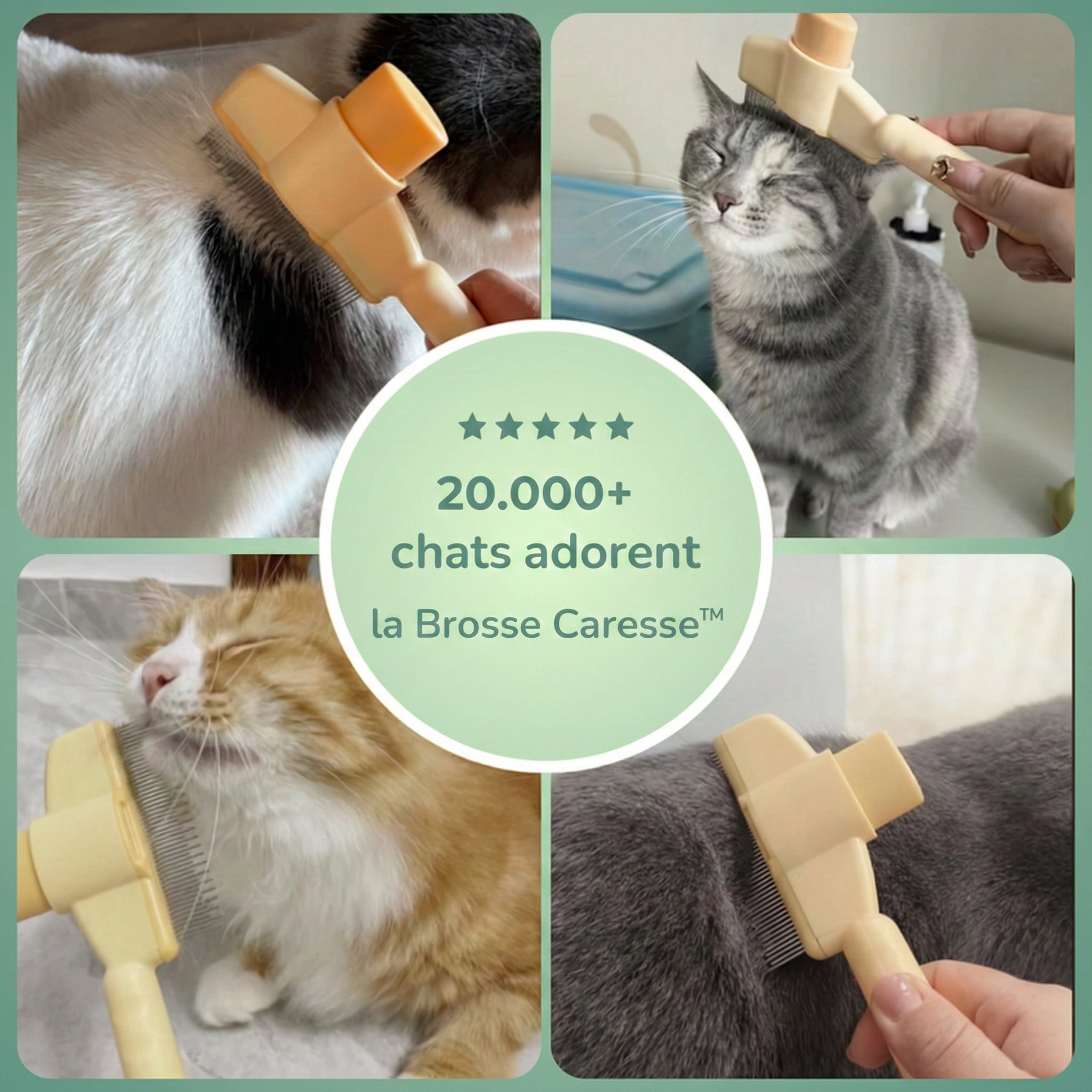 Brosse Caresse™ – La solution douceur pour un pelage parfait