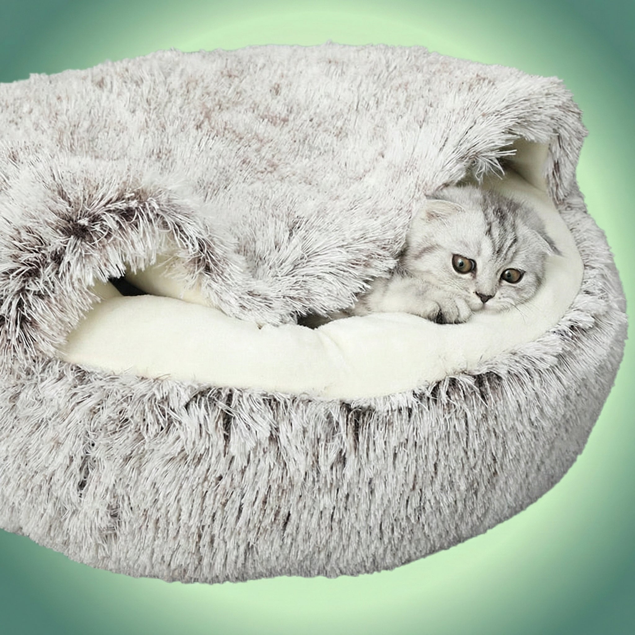 CoconDouillet™ – Le refuge ultime pour le confort et la sécurité de vos animaux de compagnie