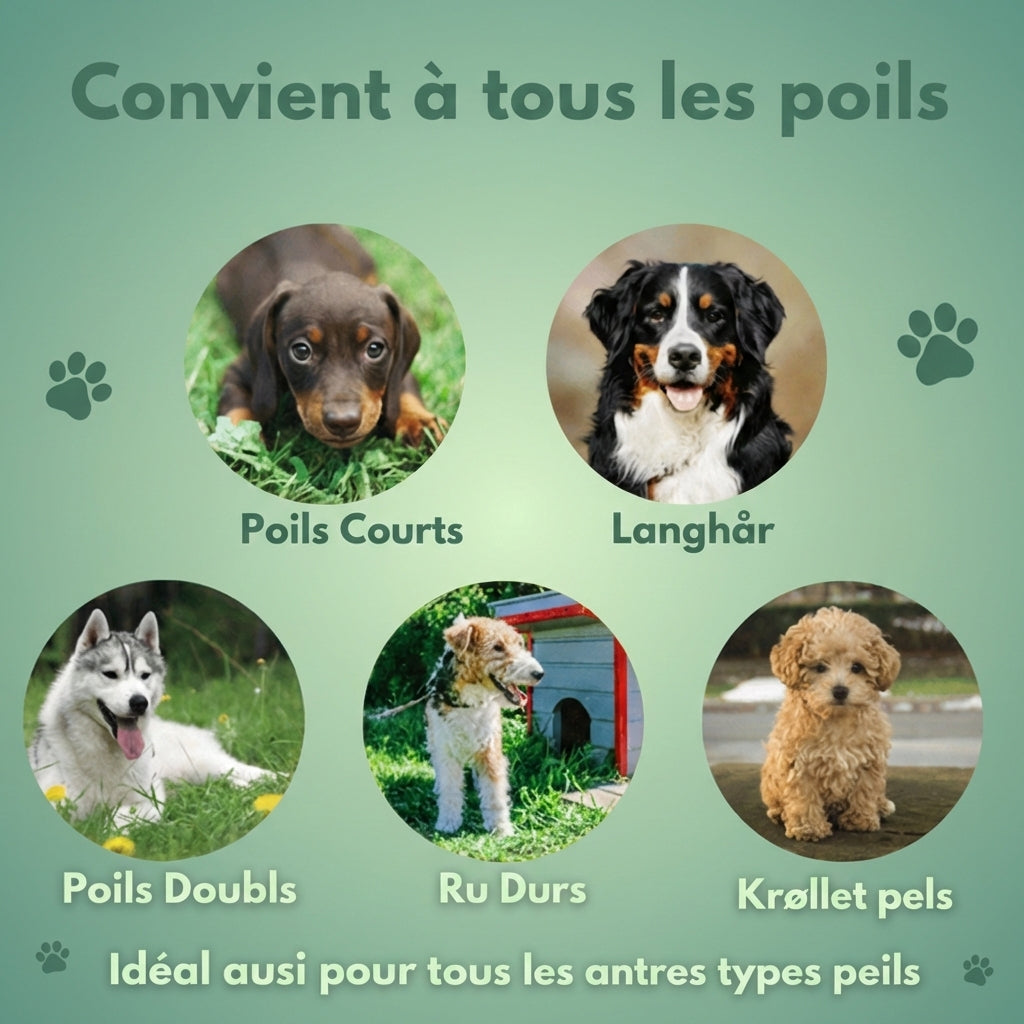 Brosse Expert-Mue™ – La solution ultime contre la perte de poils