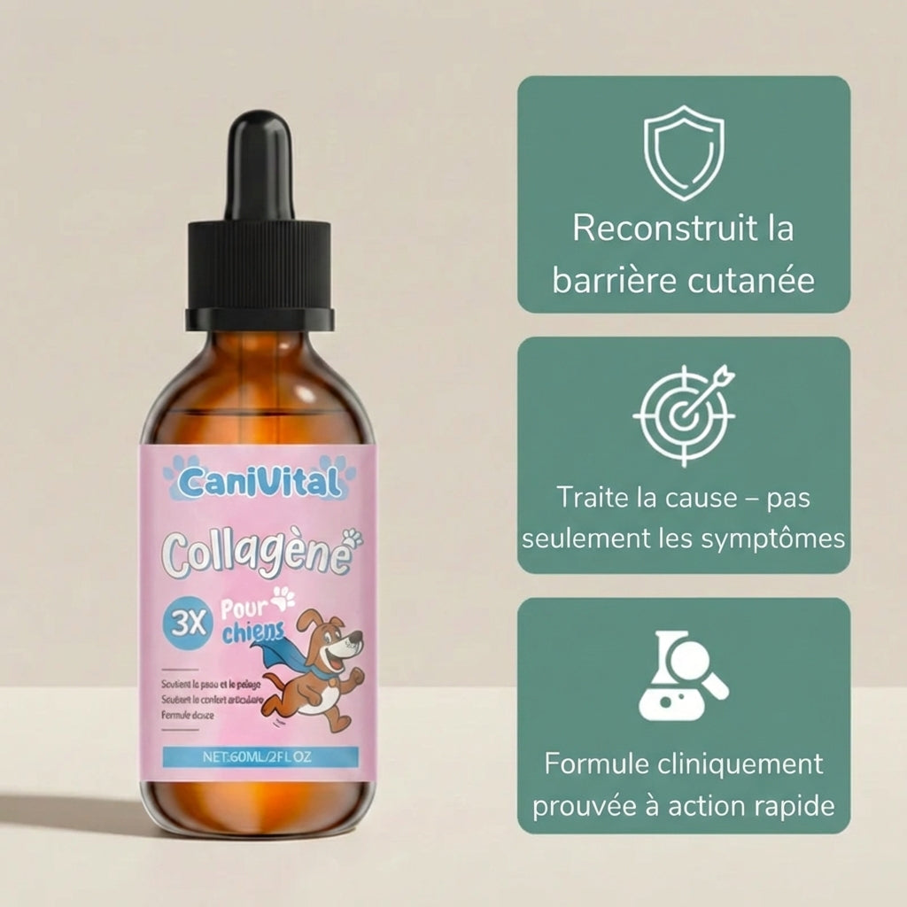 CaniVital™ – Collagène Liquide Premium