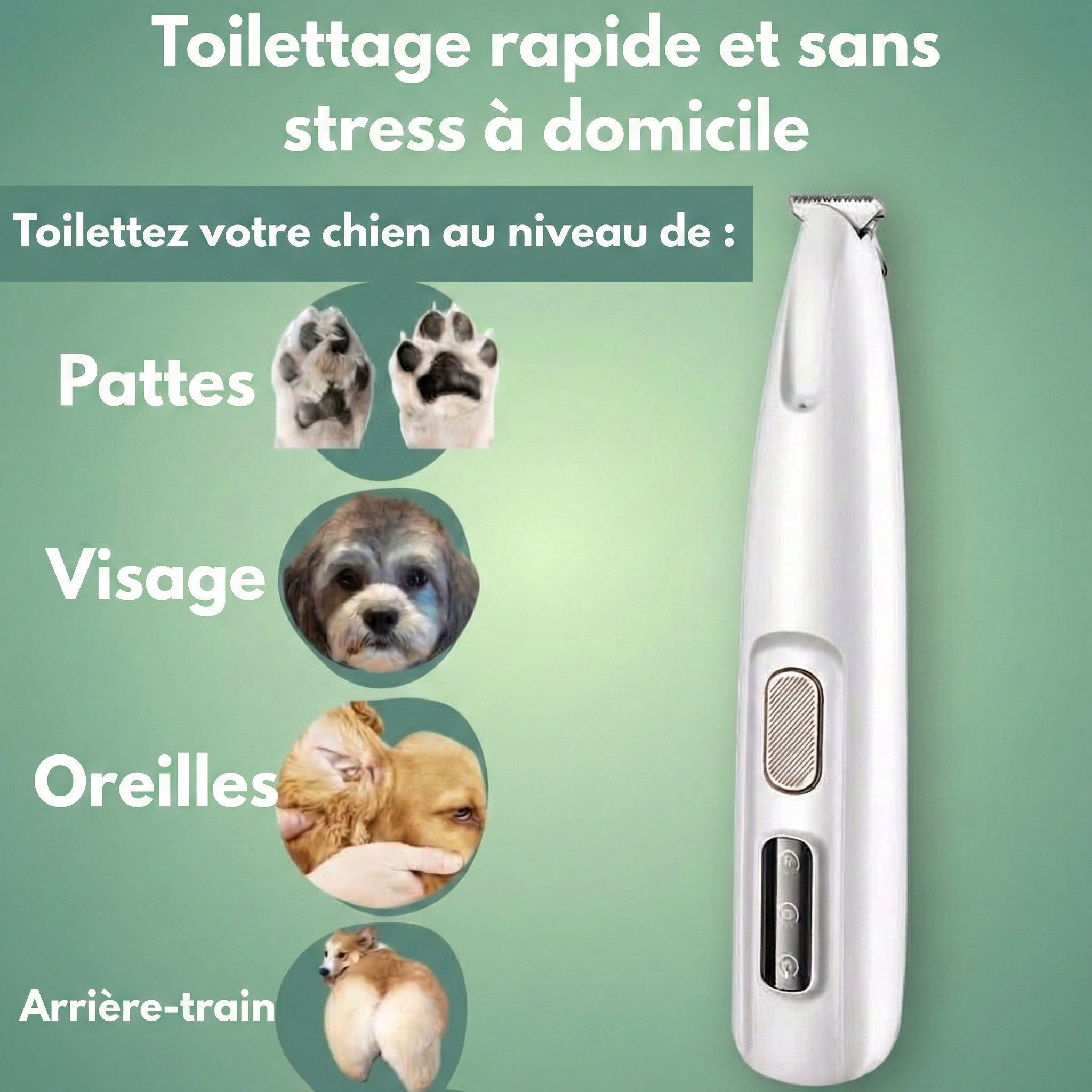 PatteTrim™ – Toilettage Doux et Silencieux pour les Pattes de Votre Chien