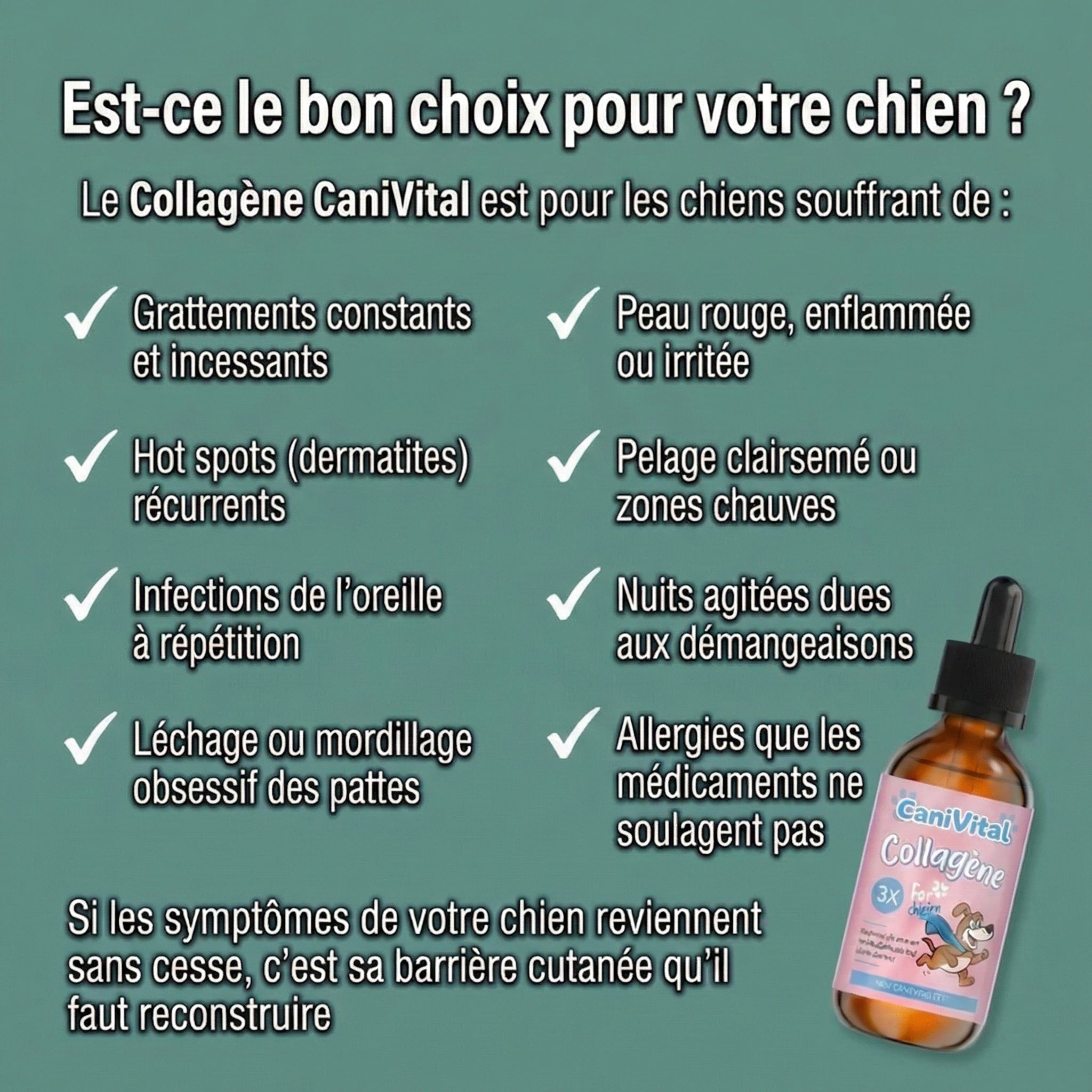 CaniVital™ – Collagène Liquide Premium