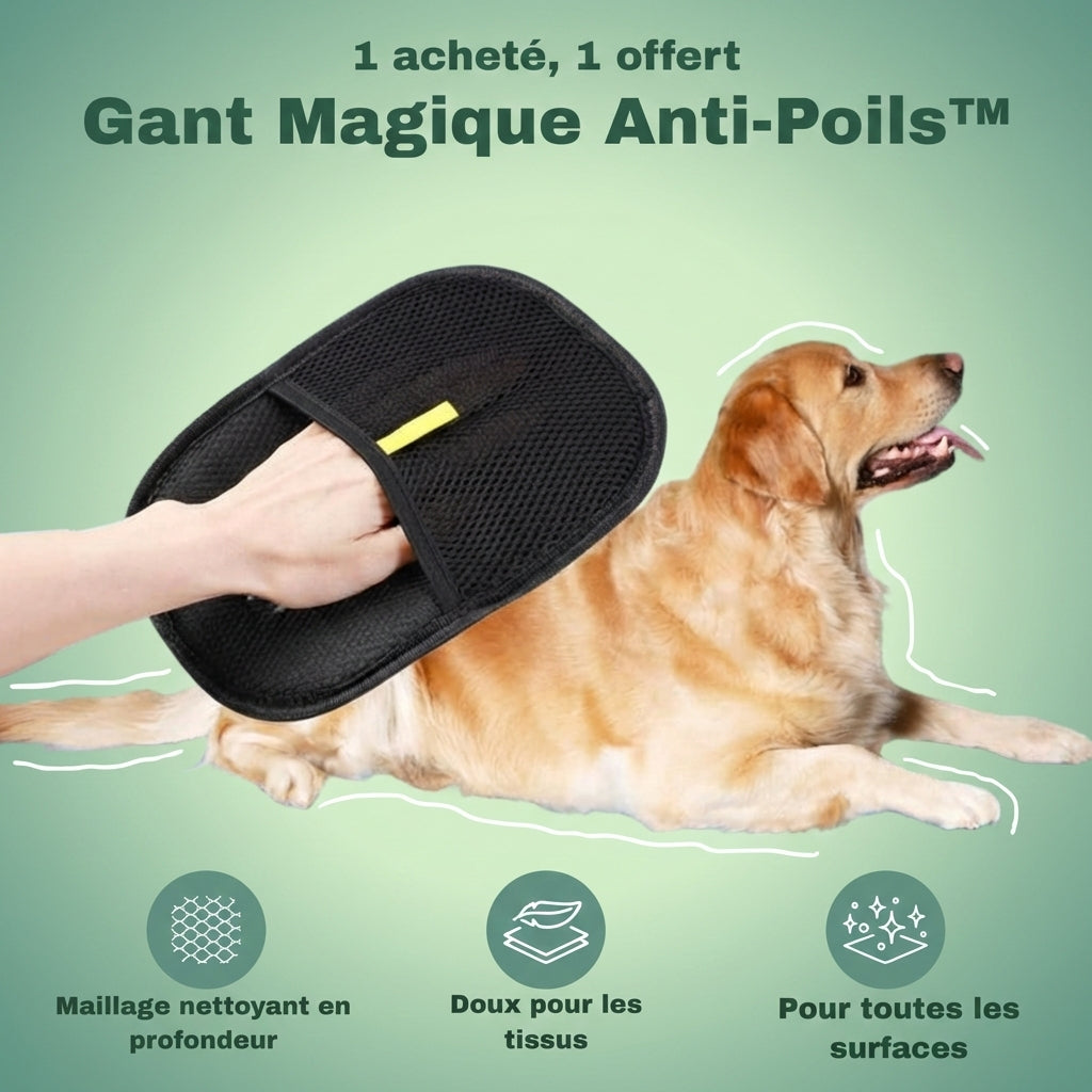 Gant Magique Anti-Poils™ – La solution électrostatique (1 ACHETÉ = 1 OFFERT)