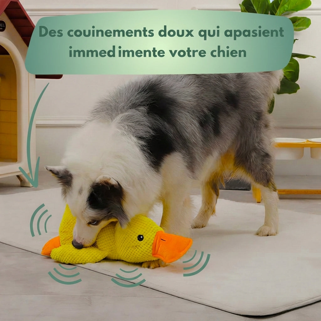 Canard Anti-Stress™ – Offrez calme, sécurité et réconfort à votre chien