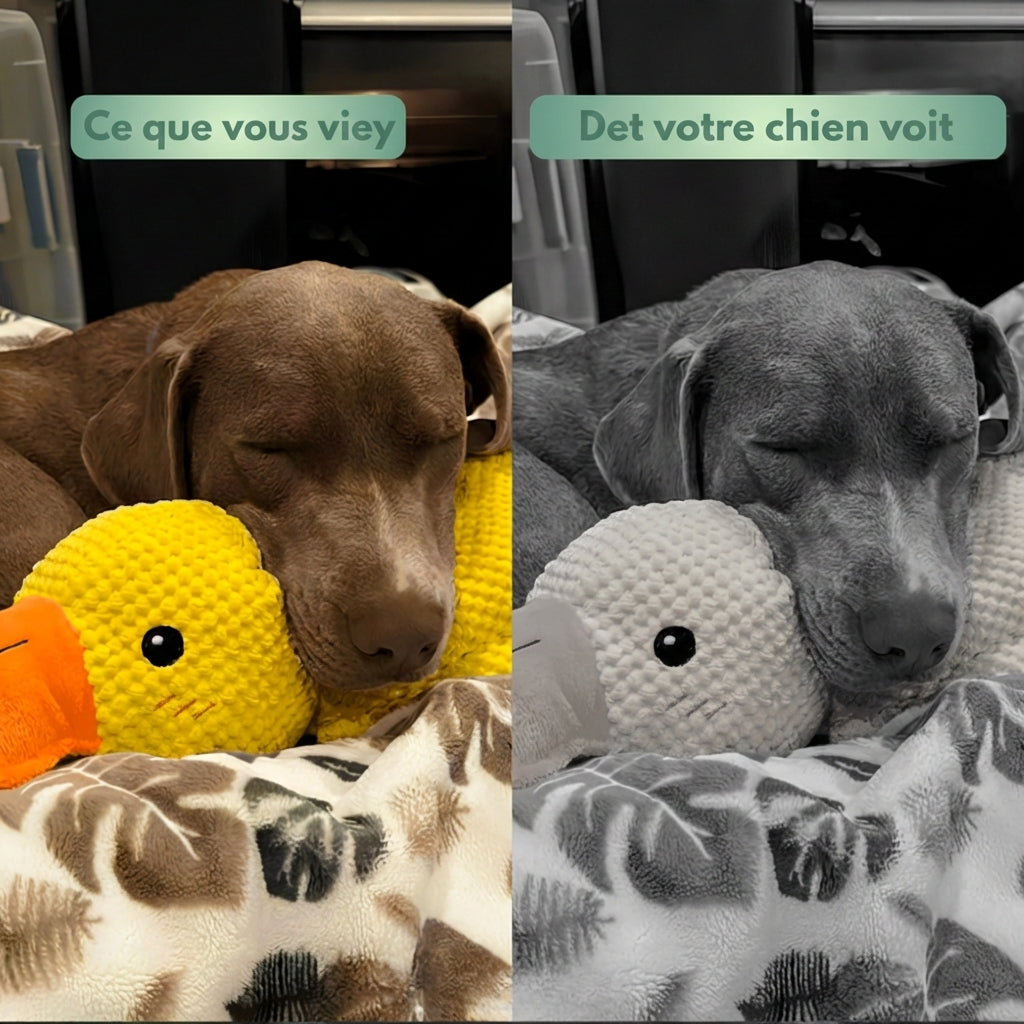 Canard Anti-Stress™ – Offrez calme, sécurité et réconfort à votre chien