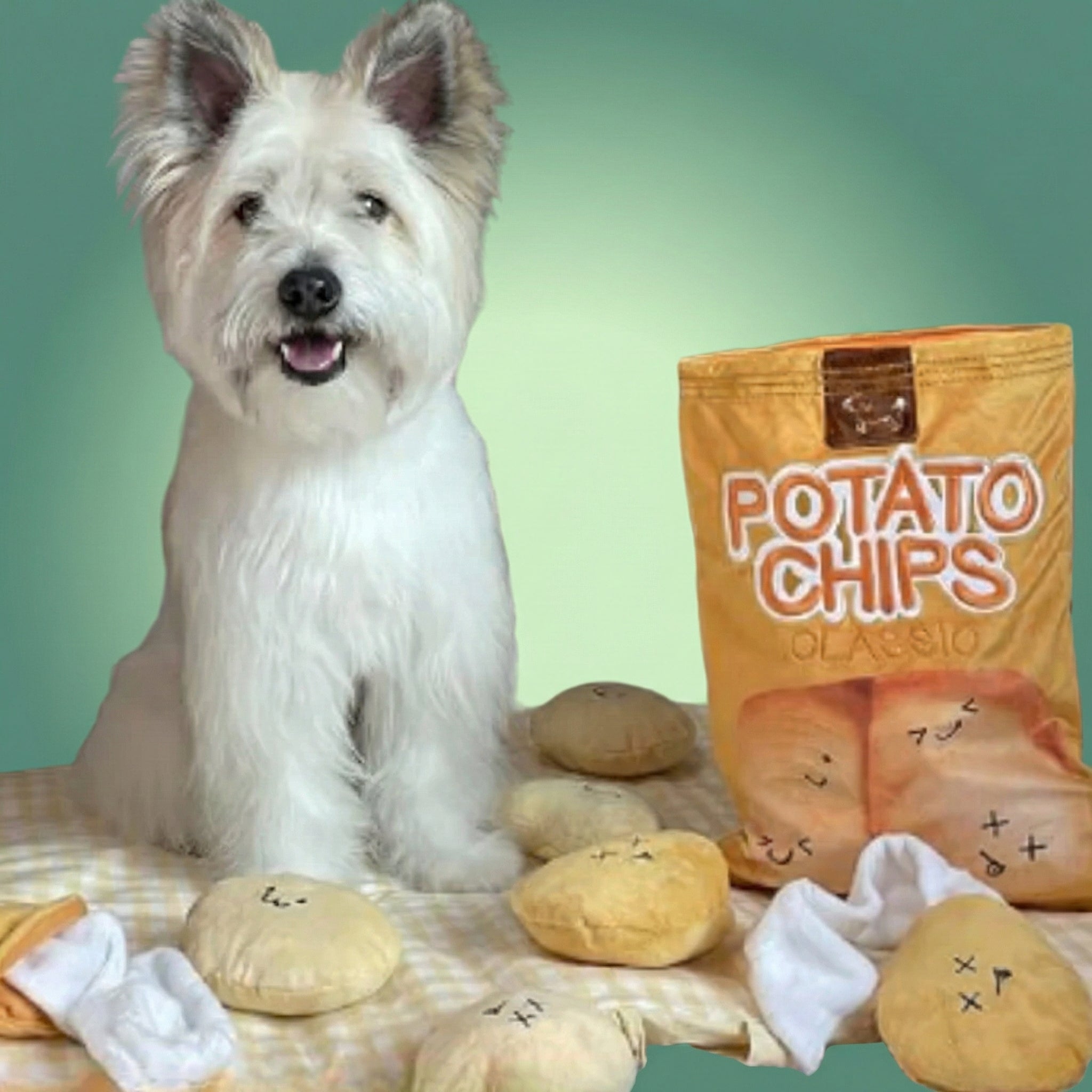 ChipsDeSniff™ – Sac à collation ludique et stimulant pour les chiens curieux