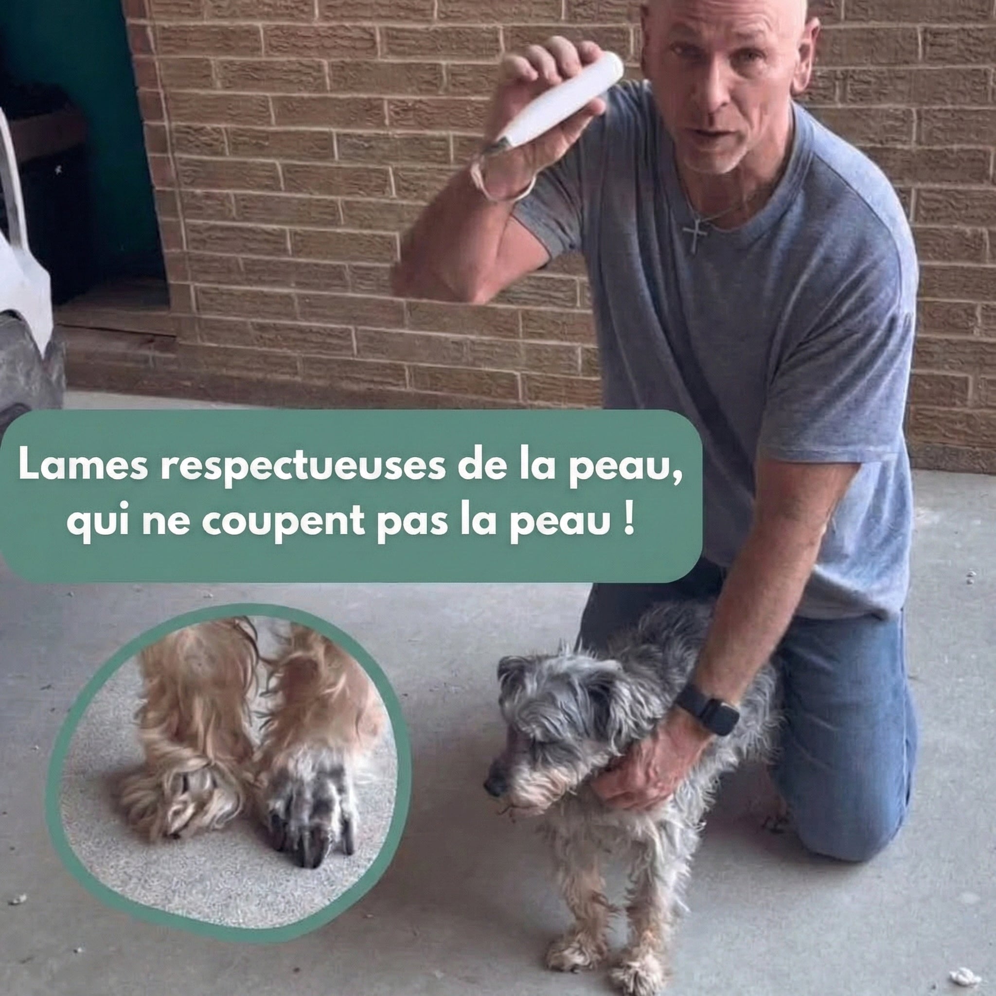 PatteTrim™ – Toilettage Doux et Silencieux pour les Pattes de Votre Chien