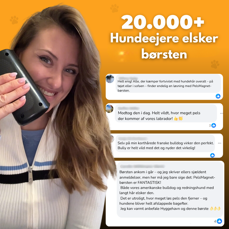 BrosseMagique™ – La solution ultime pour éliminer les poils d'animaux !