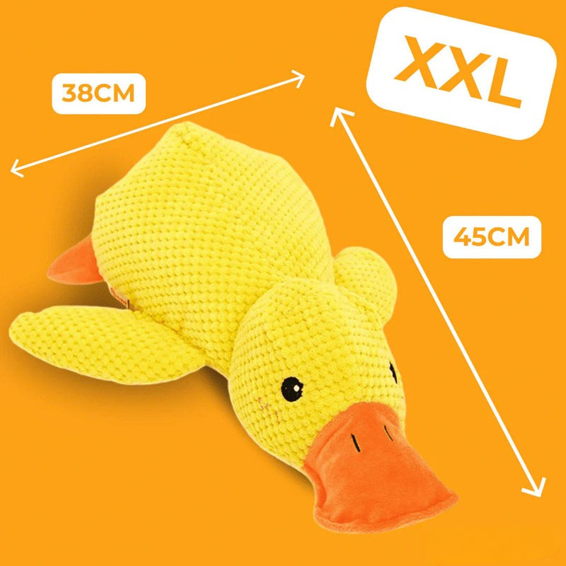 SérénitéCanine™ – Offrez confort et sécurité à votre chien