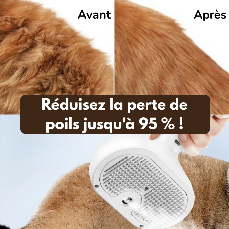 BrosseHydra™ – Hydrate, masse et élimine les poils sans douleur