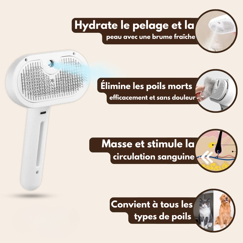 BrosseHydra™ – Hydrate, masse et élimine les poils sans douleur