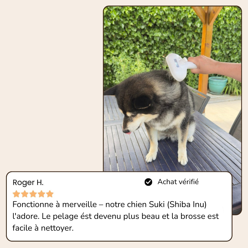 BrosseHydra™ – Hydrate, masse et élimine les poils sans douleur