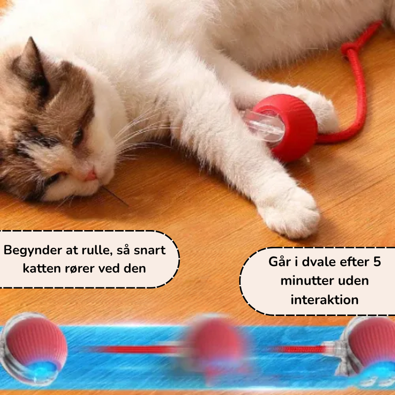 BalleMaligne™ – Un divertissement automatique et imprévisible pour vos chats !