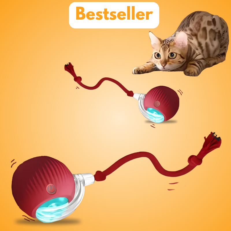 BalleMaligne™ – Un divertissement automatique et imprévisible pour vos chats !