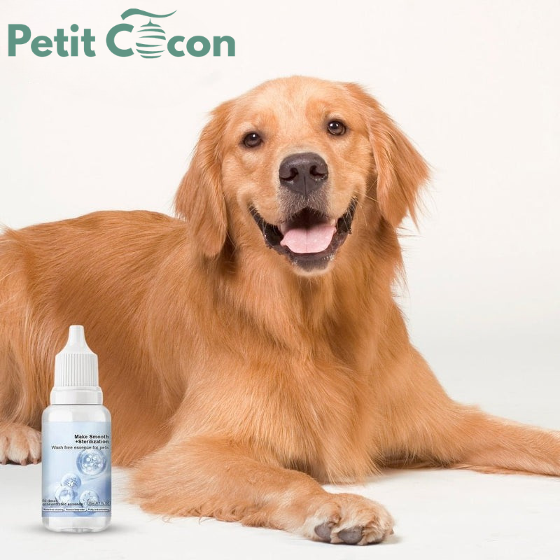 Shampooing Éclat Rafraîchissant pour le Pelage - Convient à Tous les Types de Fourrure