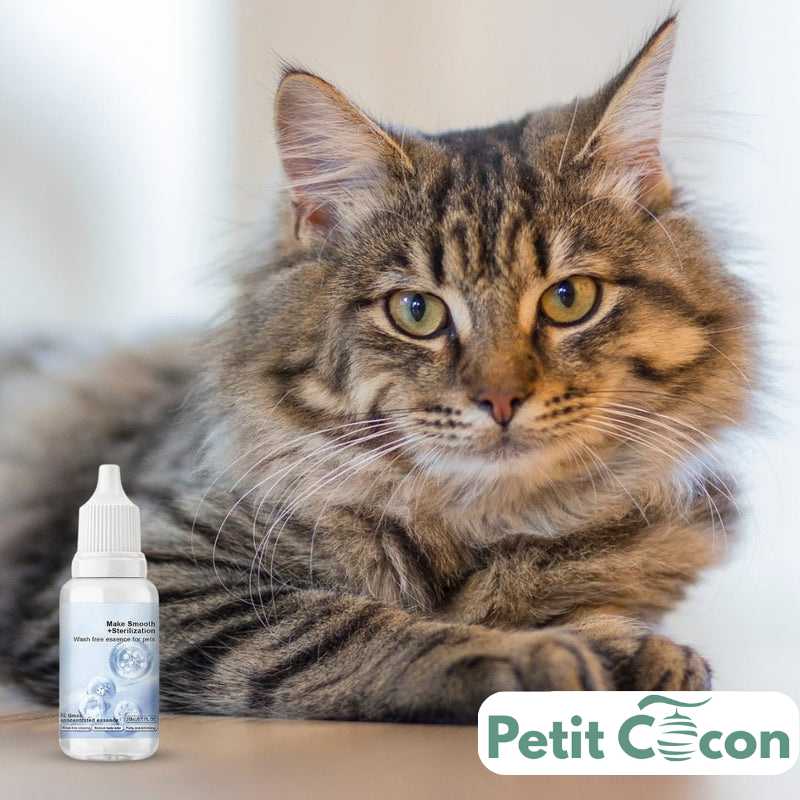 Shampooing Éclat Rafraîchissant pour le Pelage - Convient à Tous les Types de Fourrure