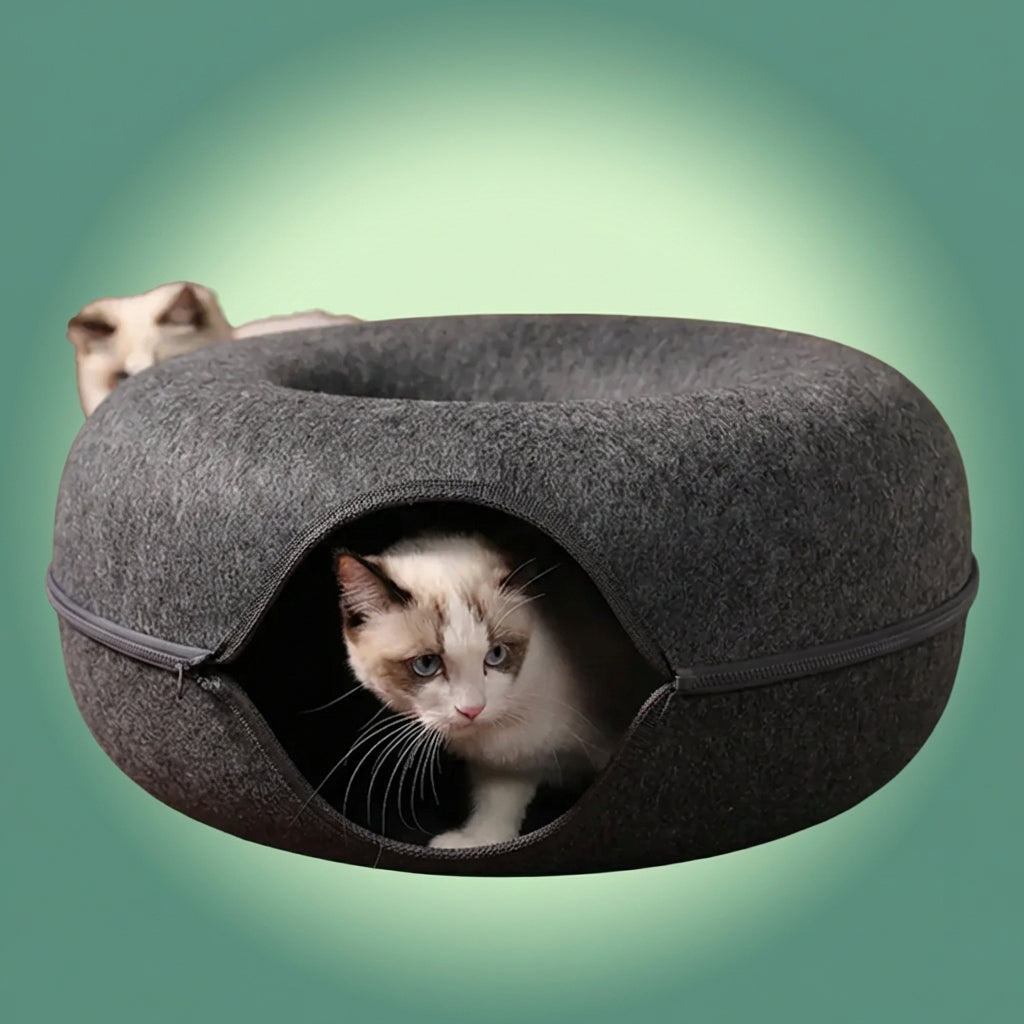 CercleDouillet™ – Abri Doux en Forme de Donut pour Détente et Amusement