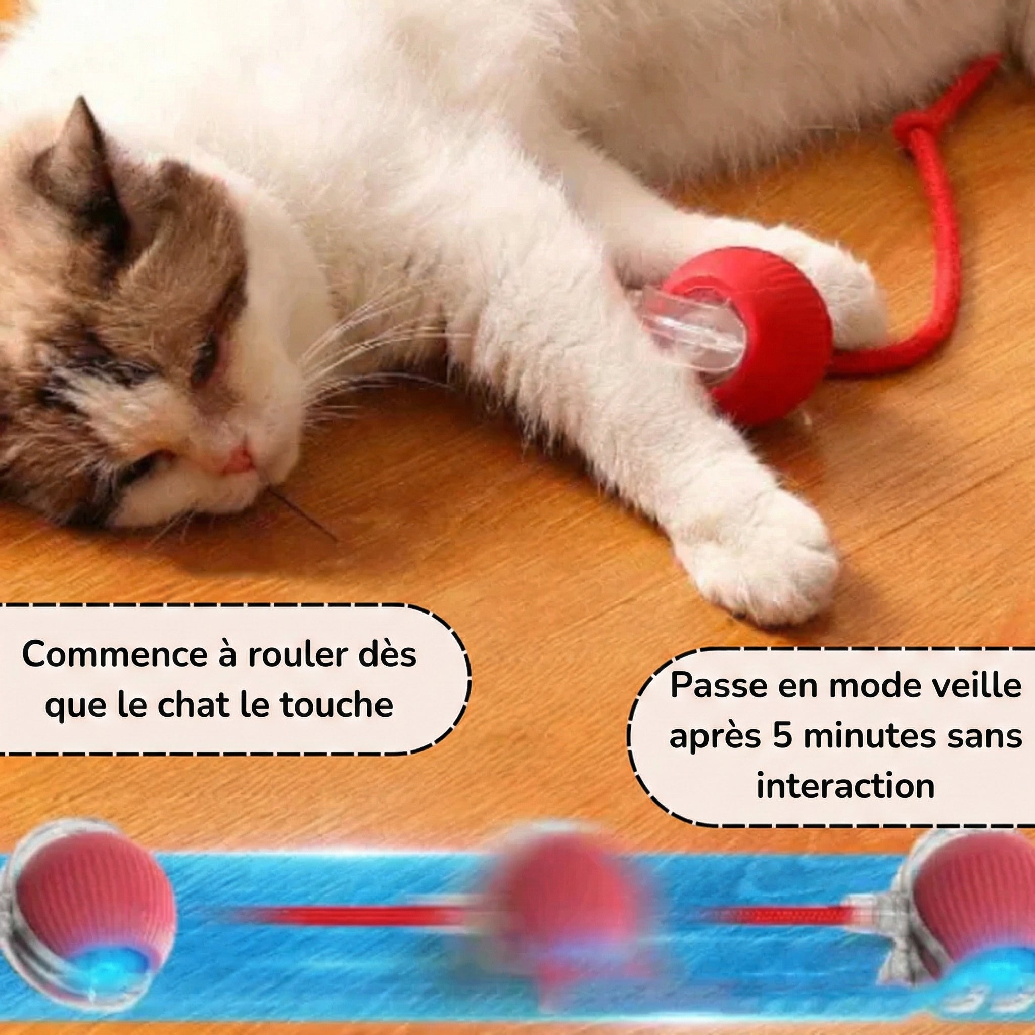 BalleChasse™ – Divertissement félin amusant, automatique et imprévisible
