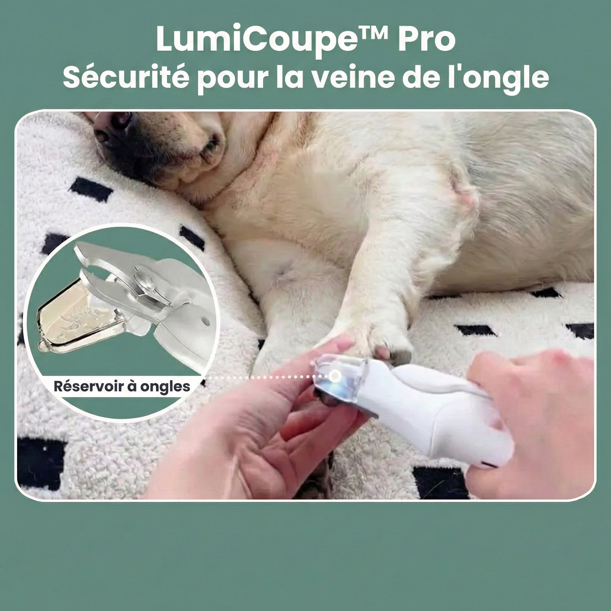 LumiCoupe™ Pro – Le Coupe-Ongles 2-en-1 à LED pour des Soins Sûrs et Sans Stress