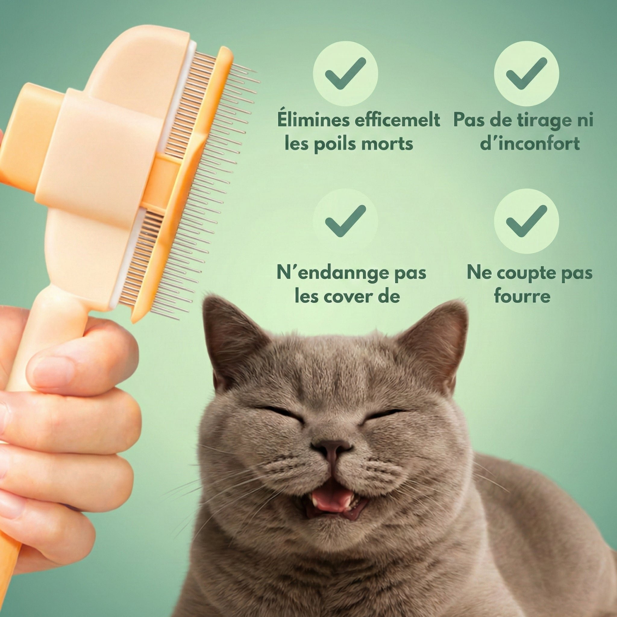 Brosse Caresse™ – La solution douceur pour un pelage parfait