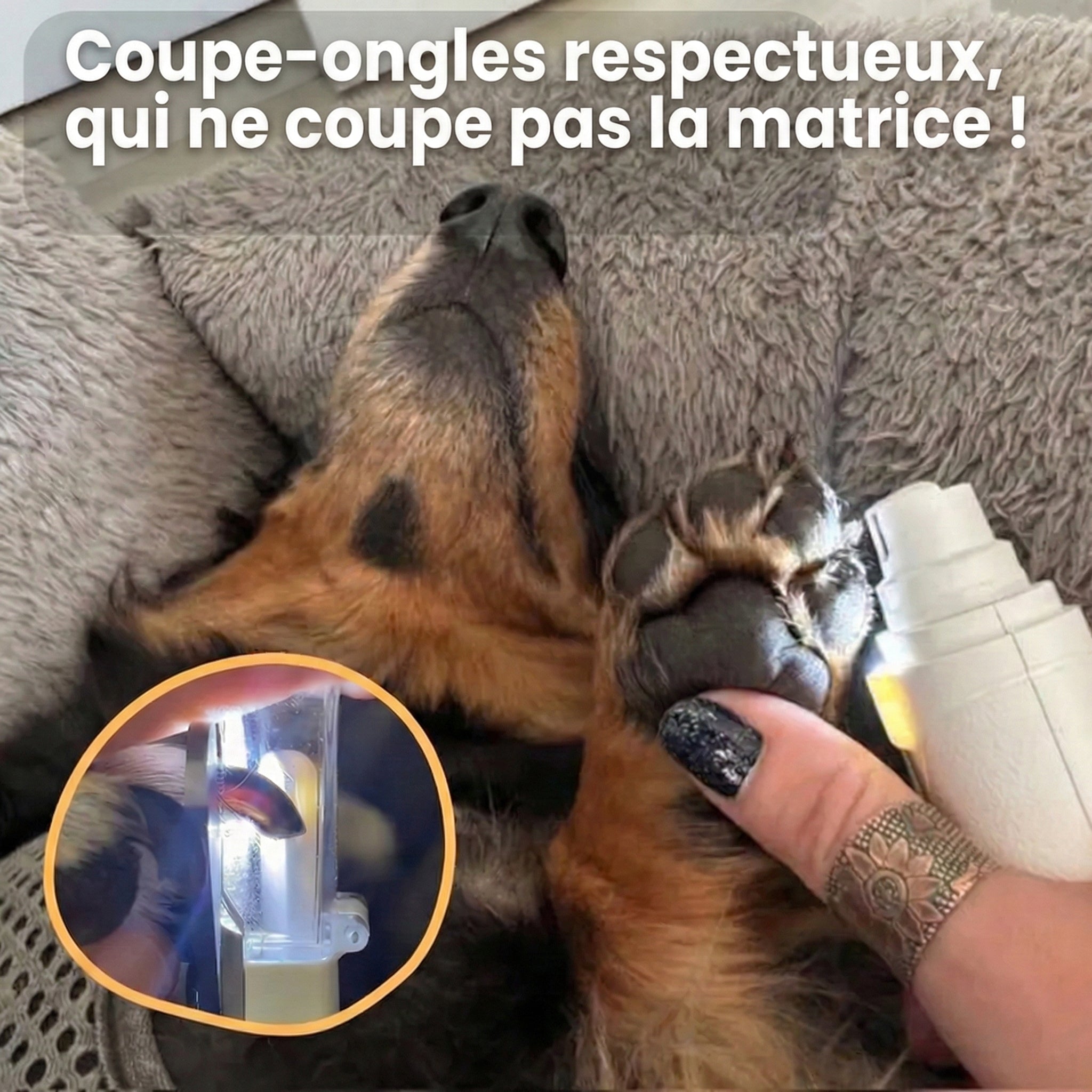 LumiCoupe™ Pro – Le Coupe-Ongles 2-en-1 à LED pour des Soins Sûrs et Sans Stress