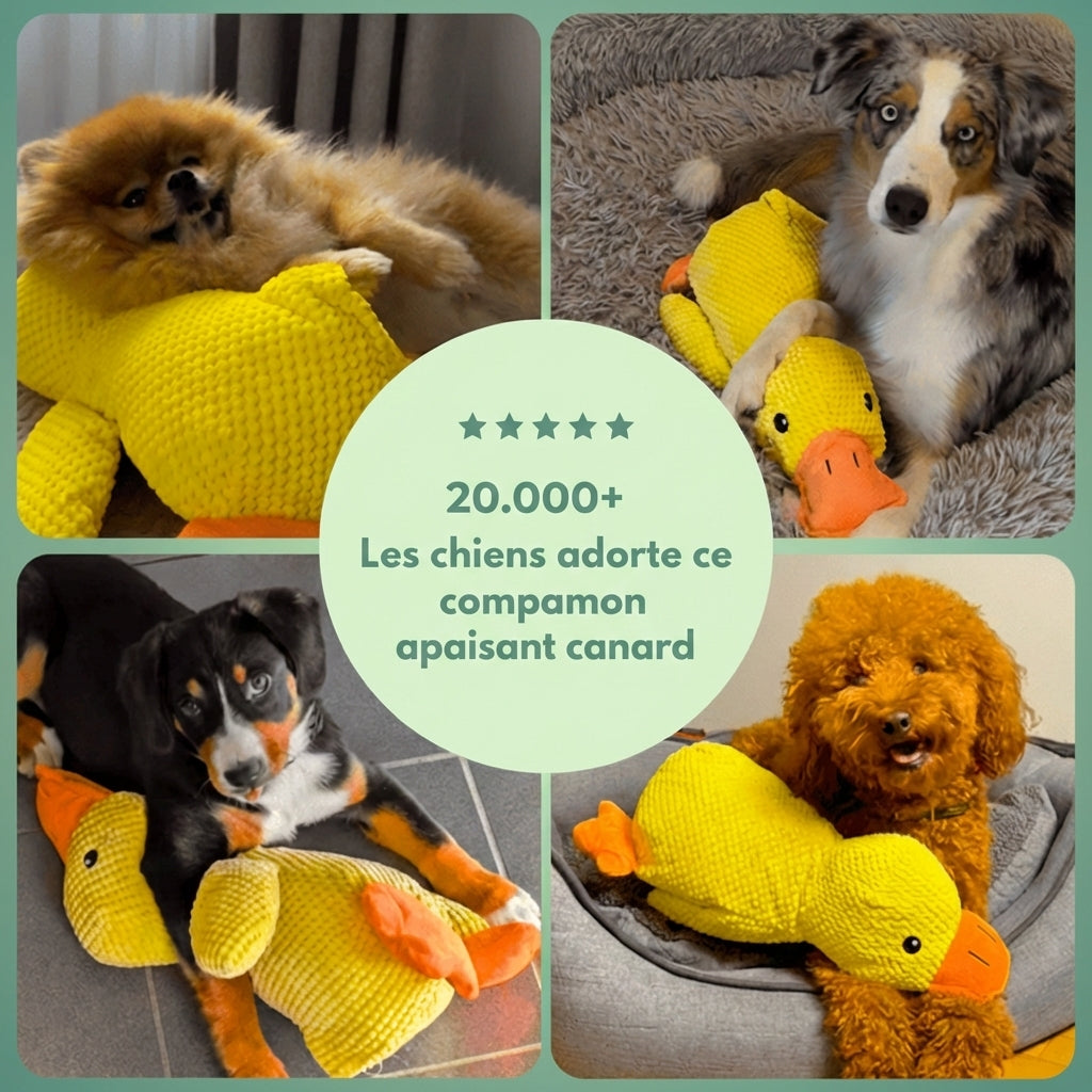Canard Anti-Stress™ – Offrez calme, sécurité et réconfort à votre chien