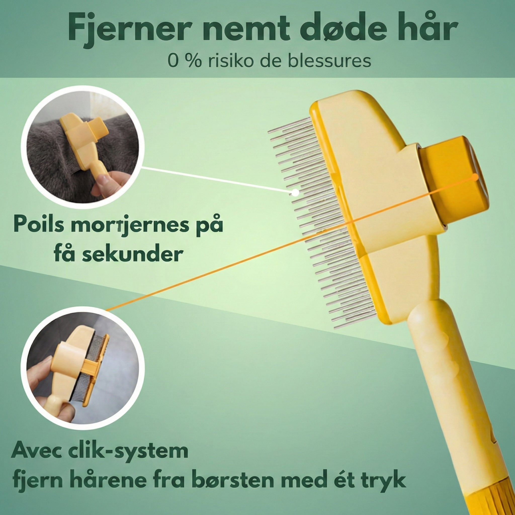 Brosse Caresse™ – La solution douceur pour un pelage parfait