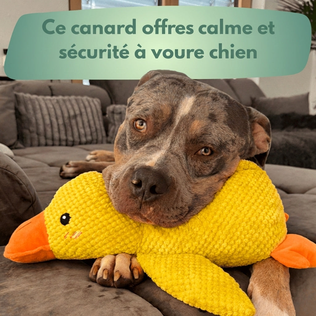 Canard Anti-Stress™ – Offrez calme, sécurité et réconfort à votre chien