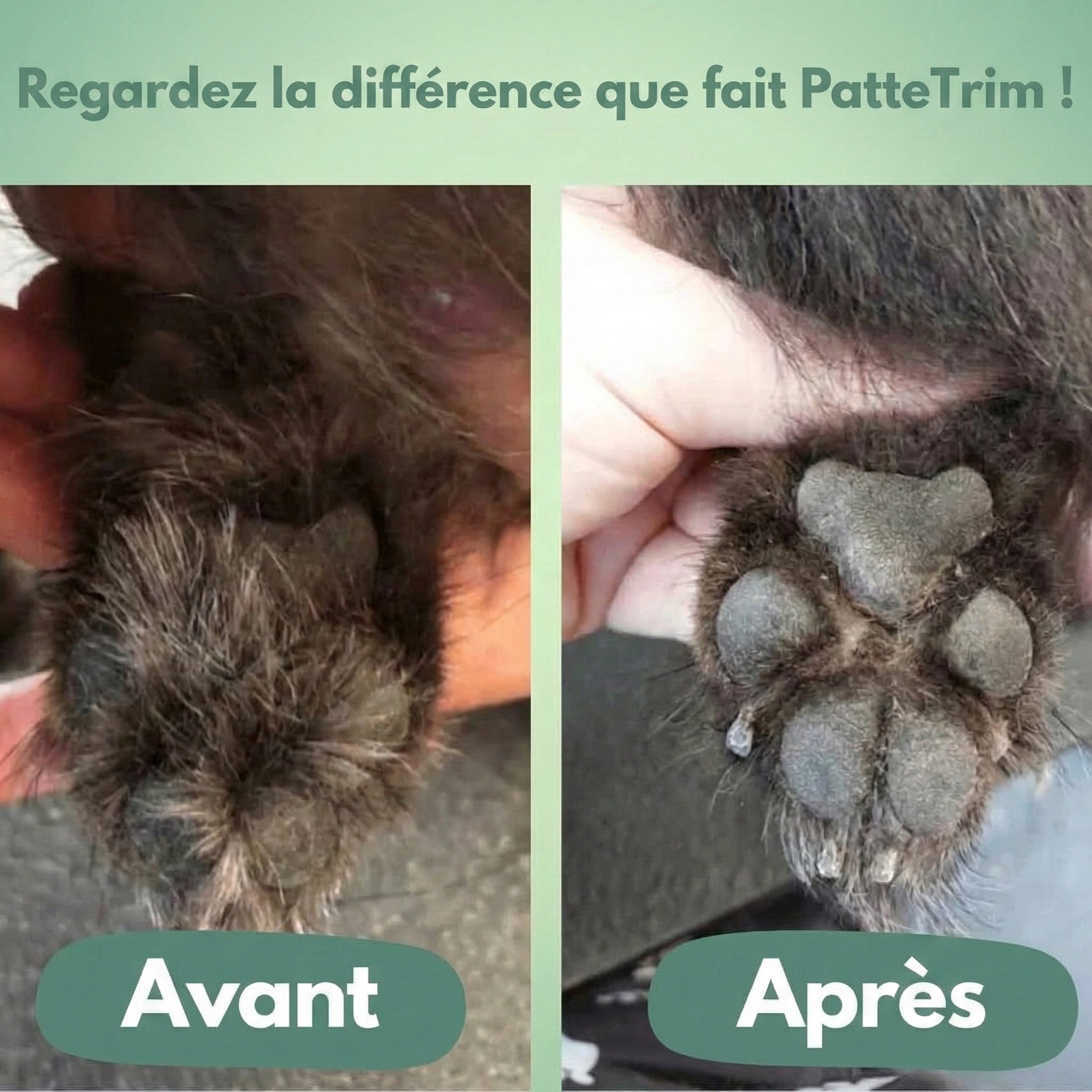 PatteTrim™ – Toilettage Doux et Silencieux pour les Pattes de Votre Chien