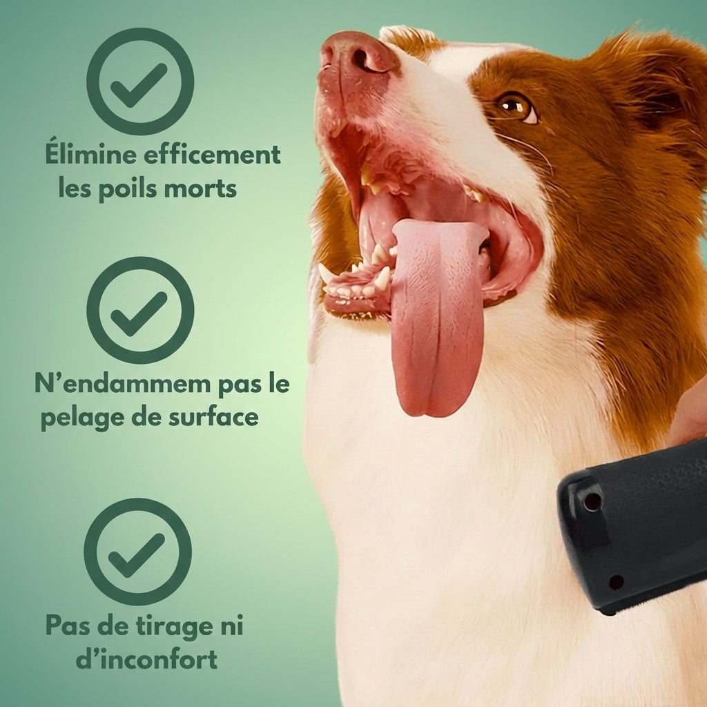 Brosse Expert-Mue™ – La solution ultime contre la perte de poils