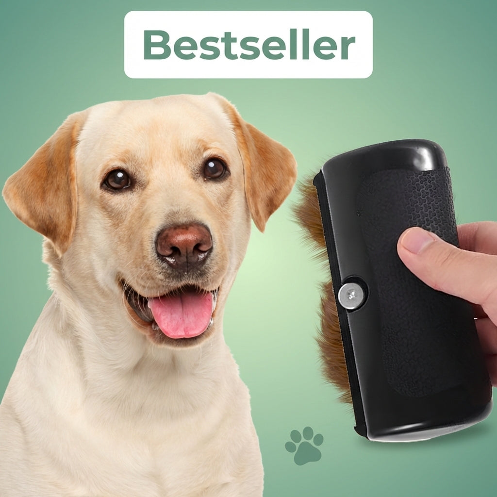 Brosse Expert-Mue™ – La solution ultime contre la perte de poils