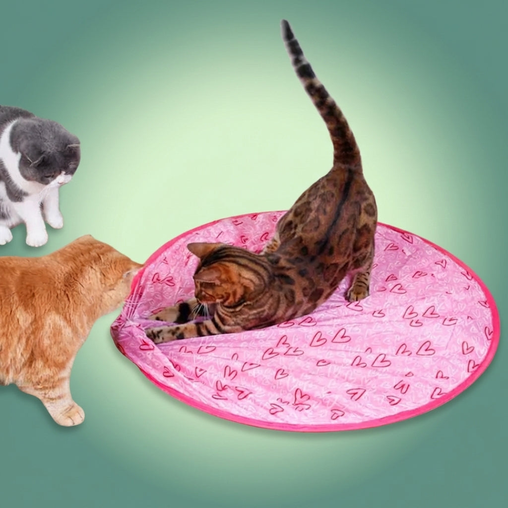 ChatJoueur™ – Tapis de jeu interactif et stimulant pour les félins curieux