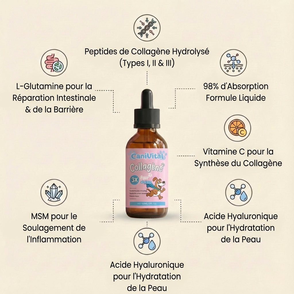 CaniVital™ – Collagène Liquide Premium